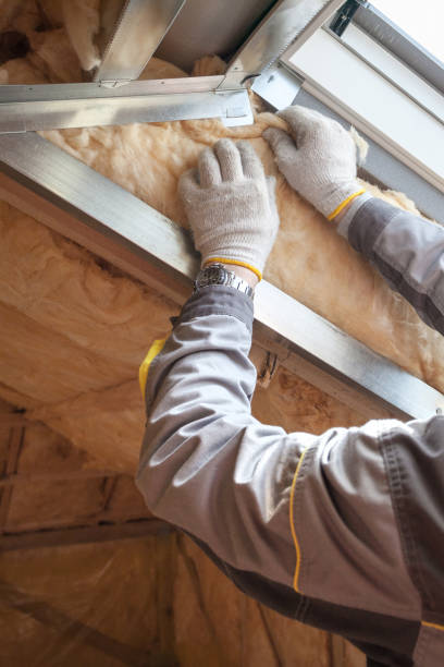 Best Energy-Efficient Insulation  in USA